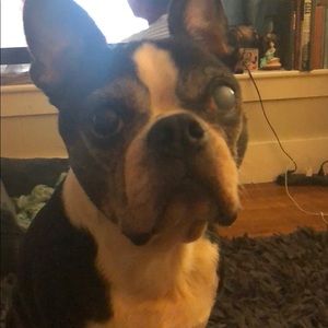 Meet your Posher, Michael